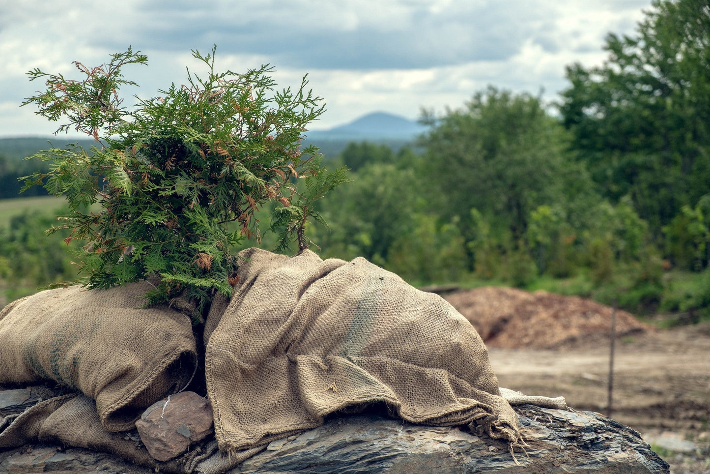 Giving New Life to Our Jute Bags Through the Circular Economy