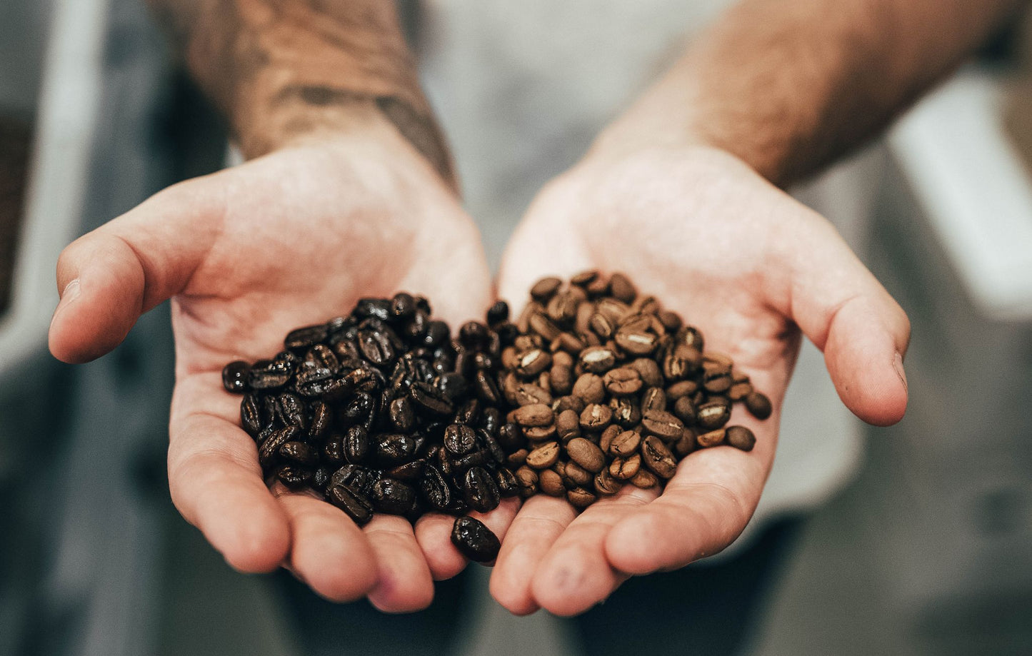 My coffee is oily! Is this normal?