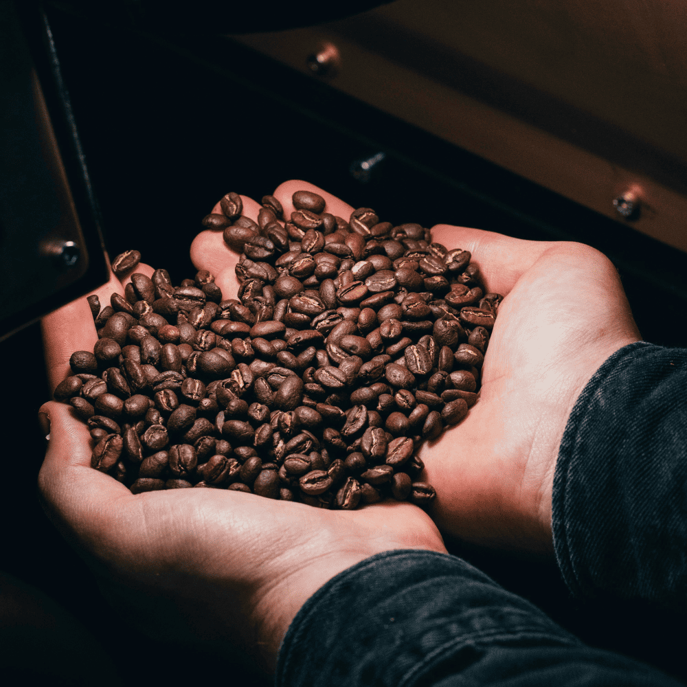 Arabica vs. Robusta: Two Distinct Varieties