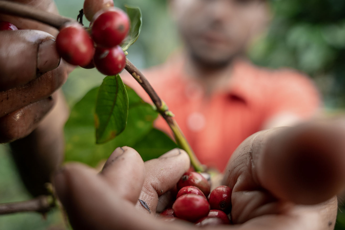 Our Approach to Sustainable Sourcing