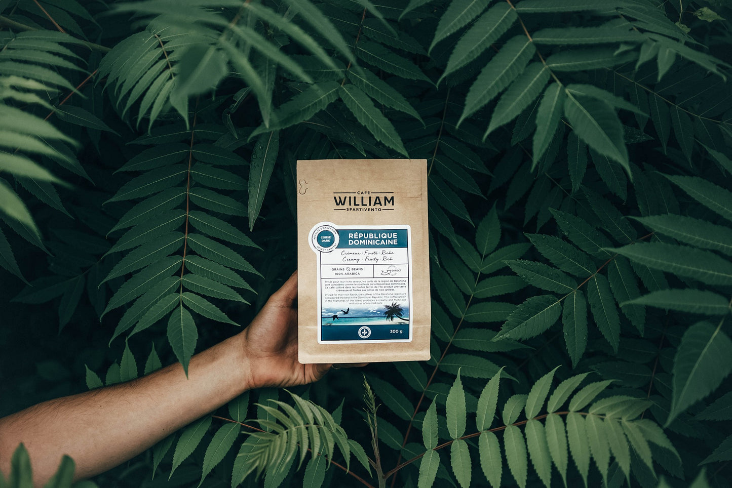 Dominican Republic: small coffee producers with great potential
