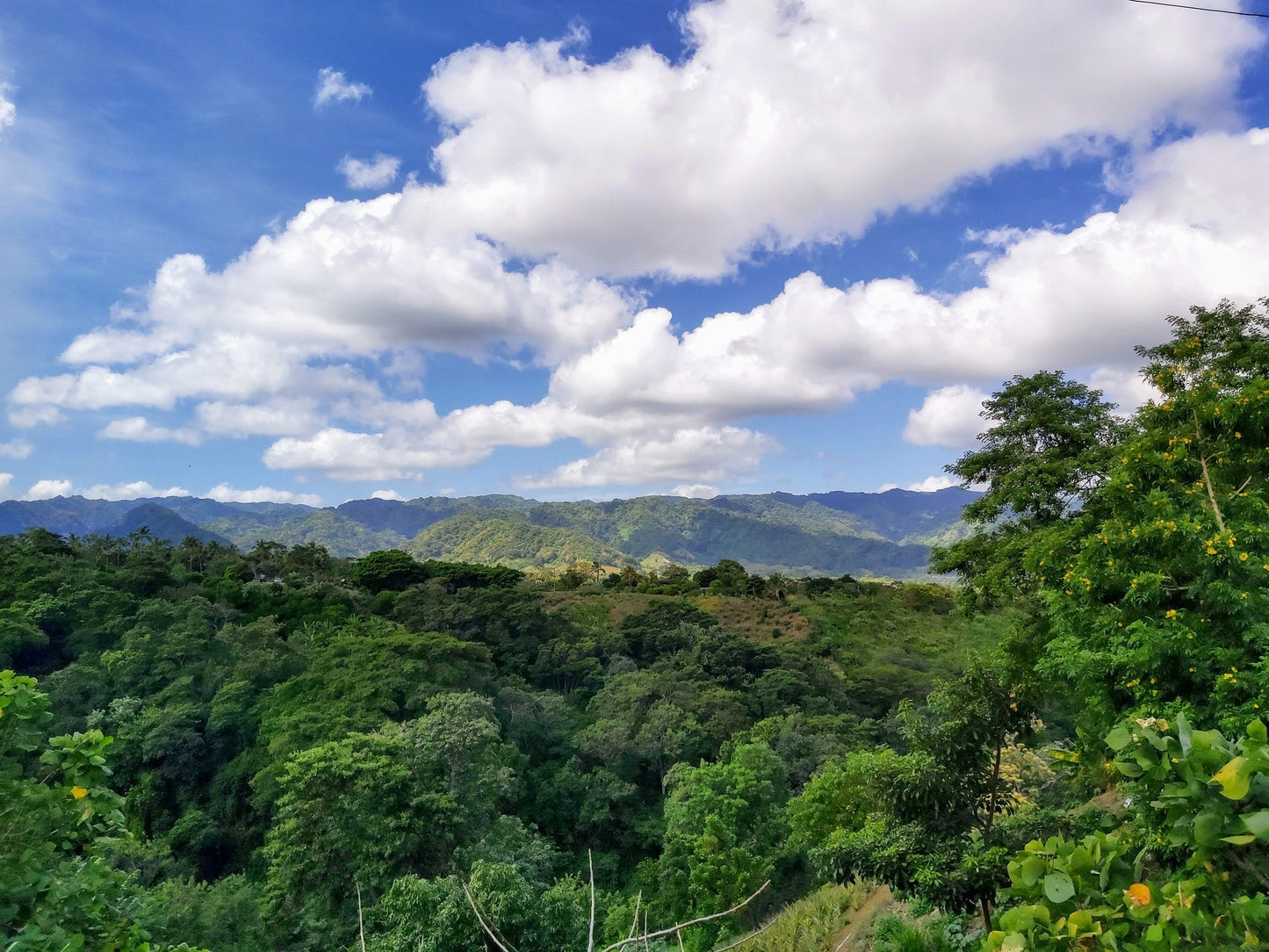 Nicaragua : small farms with great potential