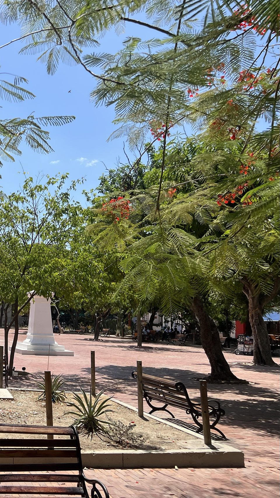 Arriving in Santa Marta