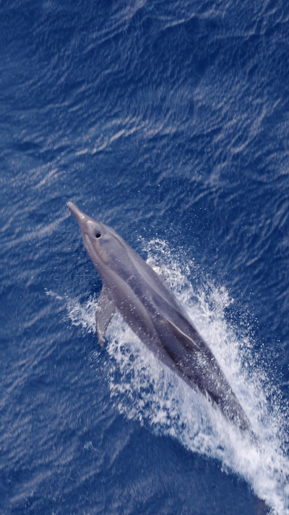Day 3 at Sea