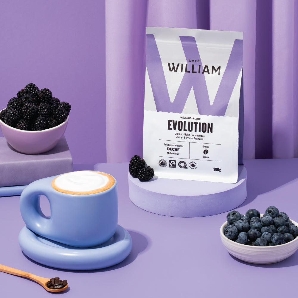 EVOLUTION Swiss Water Decaf Coffee - Bright Flavours | Café William